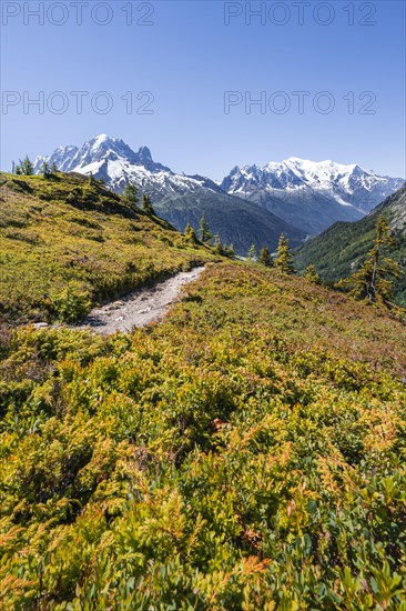 Hiking trail