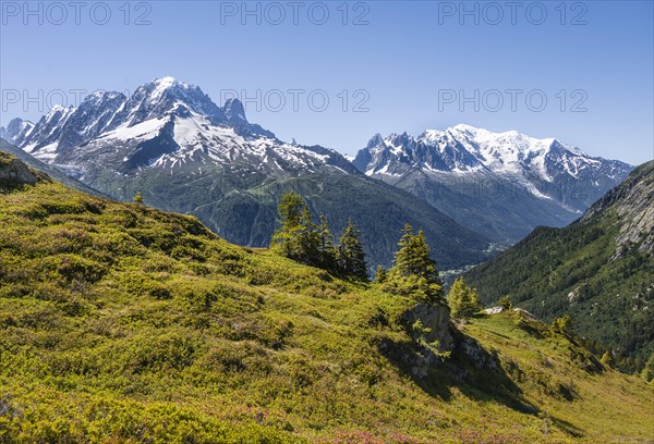 View into the valley