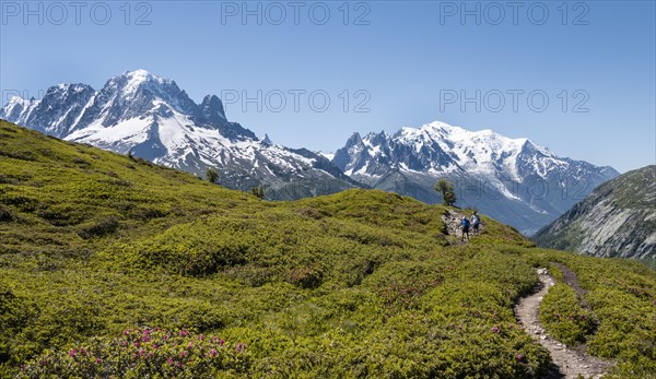 Hiker on hiking trail