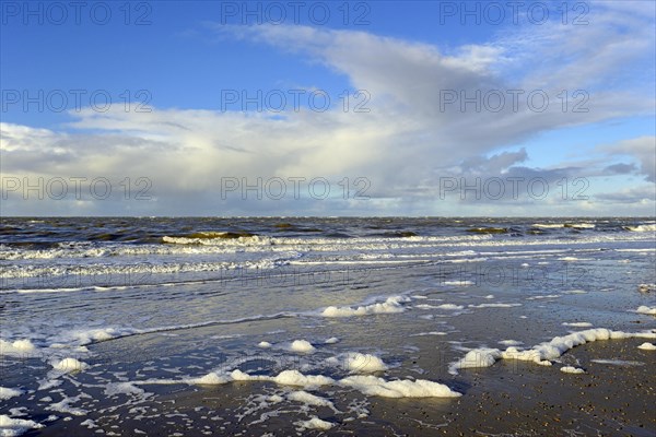 Waves on a sandy beach with foam formation