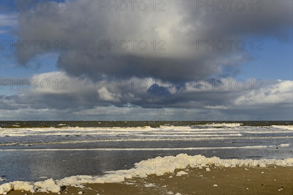 Waves on a sandy beach with foam formation