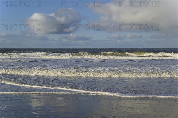 Waves on a sandy beach with foam formation