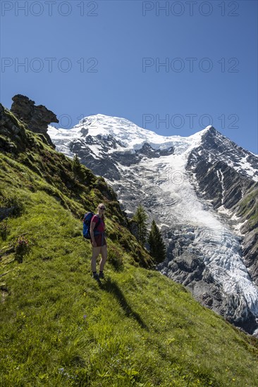 Hiker in front of glacier