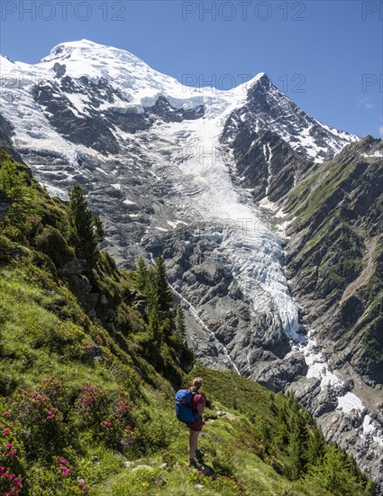 Hiker in front of glacier