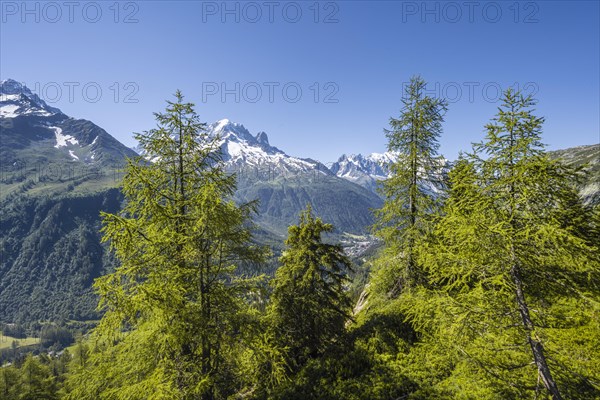 Mountain panorama from Aiguillette des Posettes