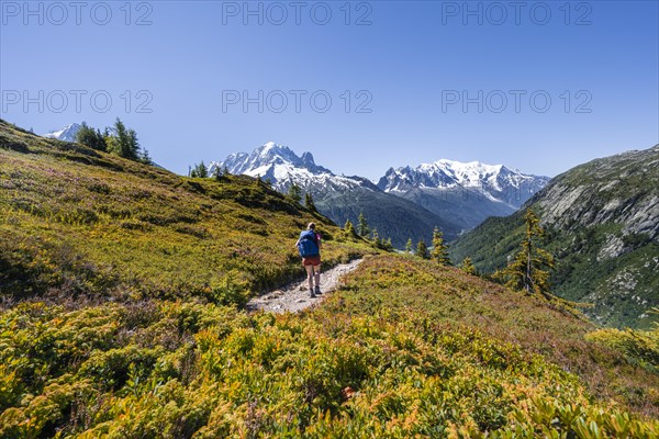 Hiker on hiking trail