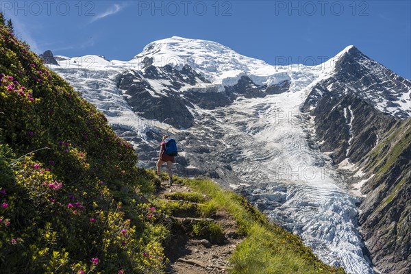 Hiker on hiking trail