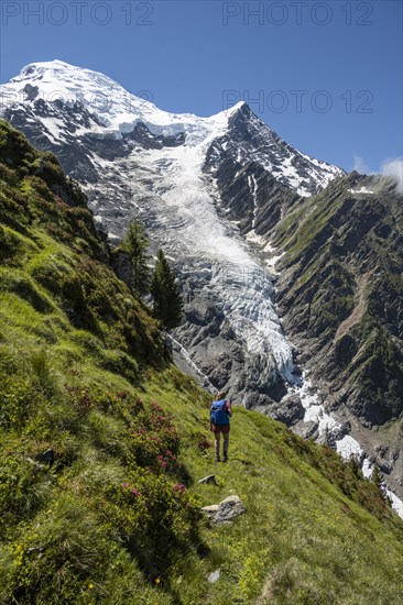 Hiker in front of glacier