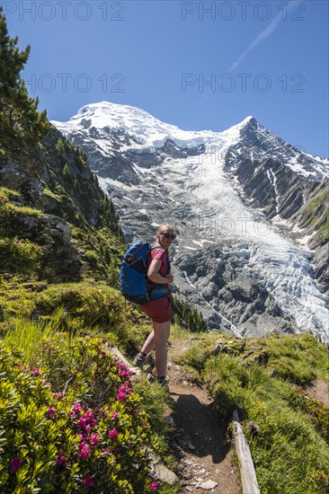 Hiker in front of glacier