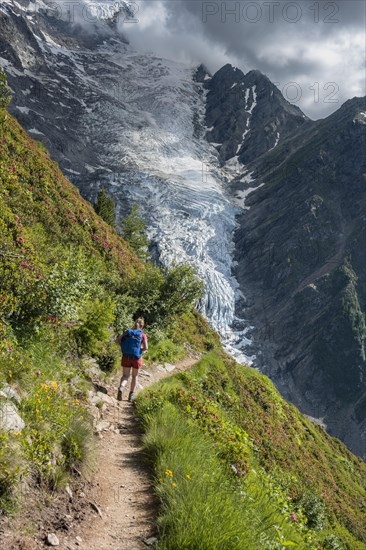 Hiker on hiking trail