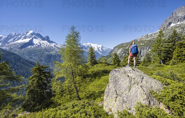 Hiker Looking at mountain panorama from Aiguillette des Posettes