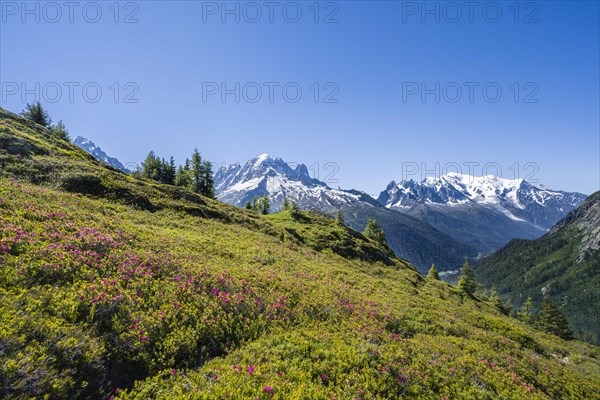 Mountain panorama from Aiguillette des Posettes