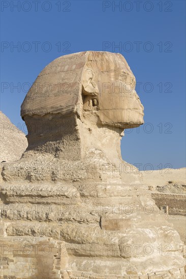 The great Sphinx