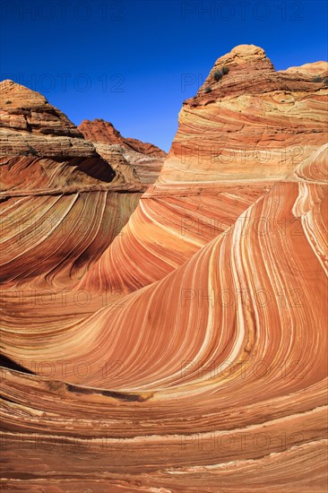 Coyote Buttes North