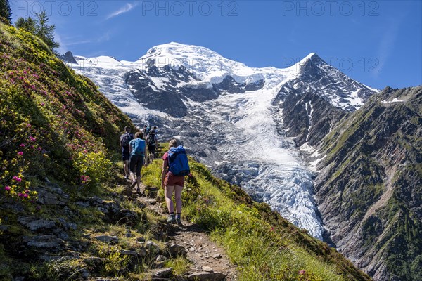 Hiker on hiking trail