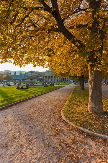 Autumn trees at Schlossplatz