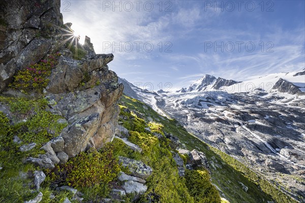 Glacier du Tour