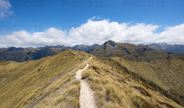 Kepler Track hiking trail