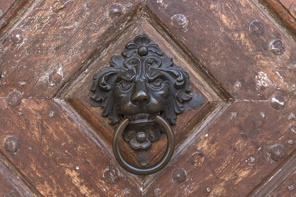Brass lion head as a door knocker on a historical entrance gate