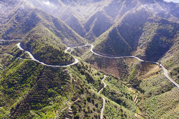 Country road near Vallehermoso