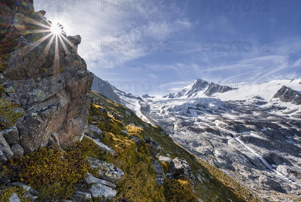 Glacier du Tour