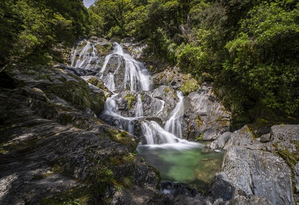 Waterfall Fantail Falls