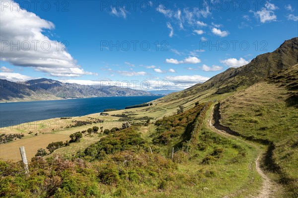 Hiking trail to Isthmus Peak