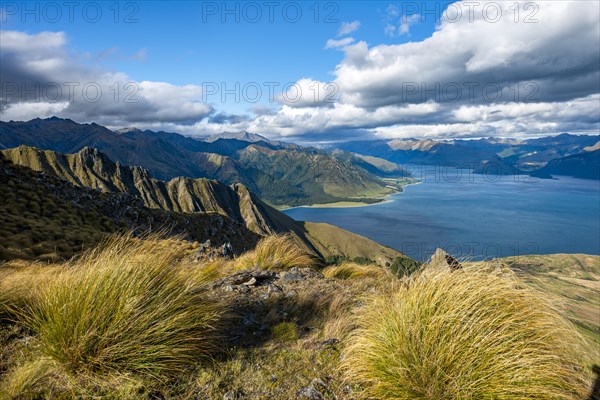 View of Lake Hawea