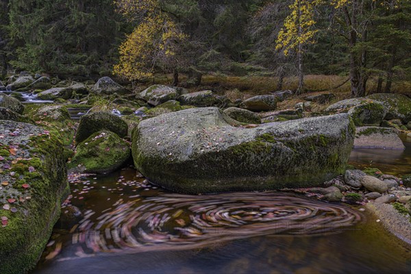 Autumn at the Vydra with huge boulders in the riverbed