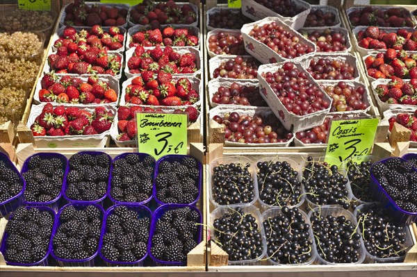 Various berries with price tag at a market stall