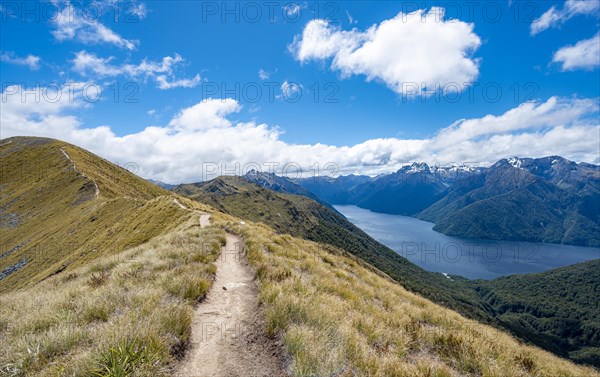 Kepler Track hiking trail