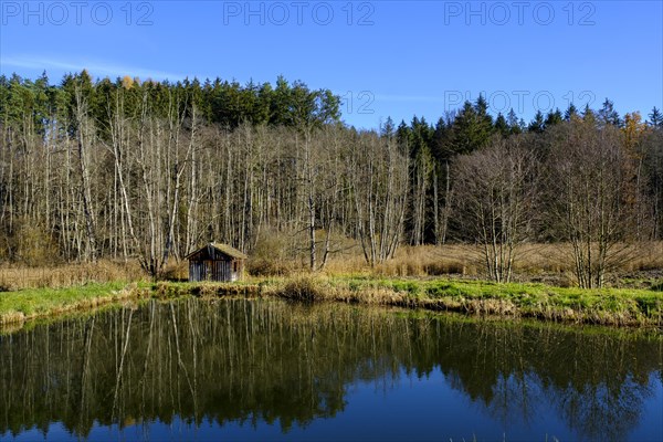 Fish pond in the Anhauser Valley