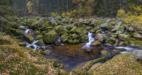 Autumn at the Vydra with huge boulders in the riverbed