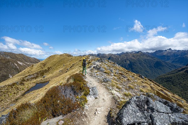 Hikers on hiking trail