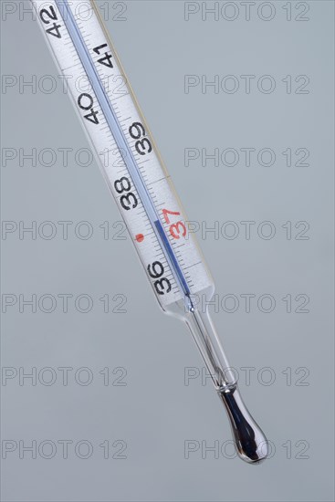 Clinical thermometer