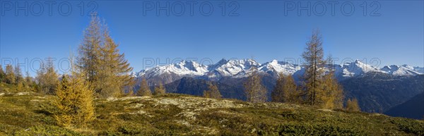 Autumn mountain landscape with larches