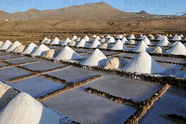 Salt extraction in Las Salinas de Janubio