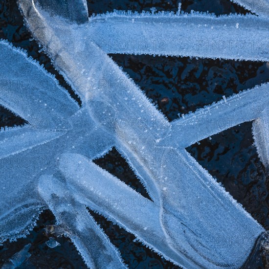 Forms of ice in a puddle