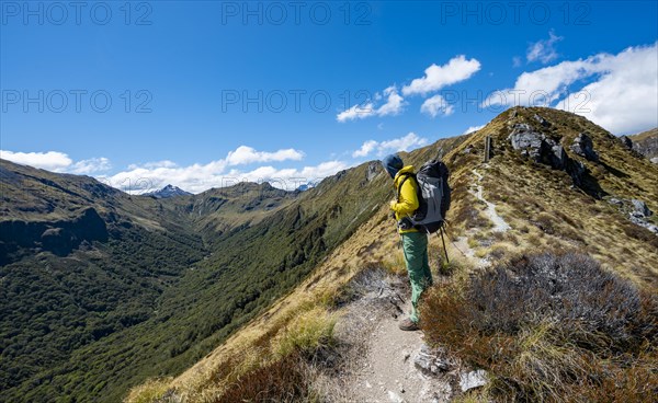 Hikers on hiking trail