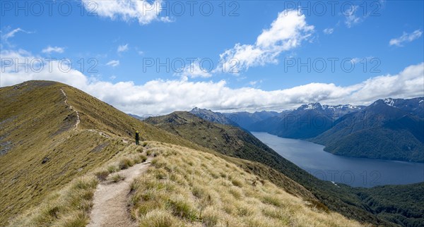 Hiker on Kepler Track