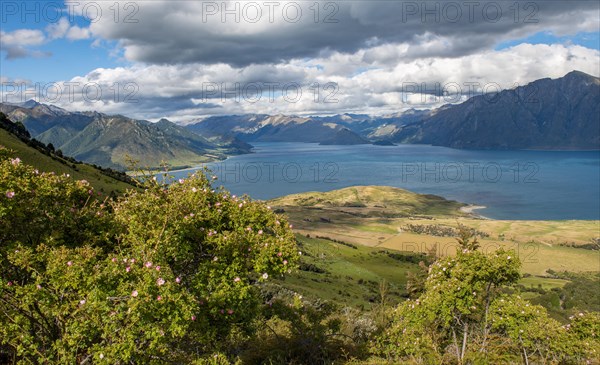 View of Lake Hawea