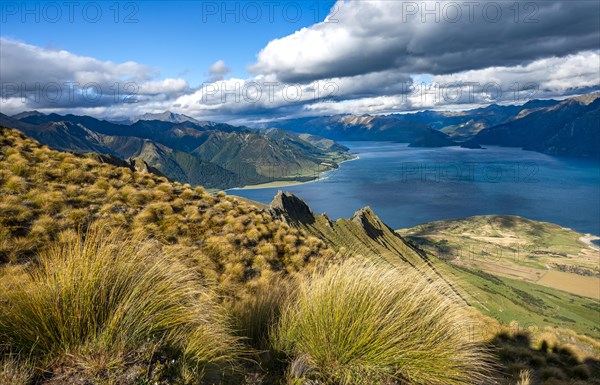 View of Lake Hawea