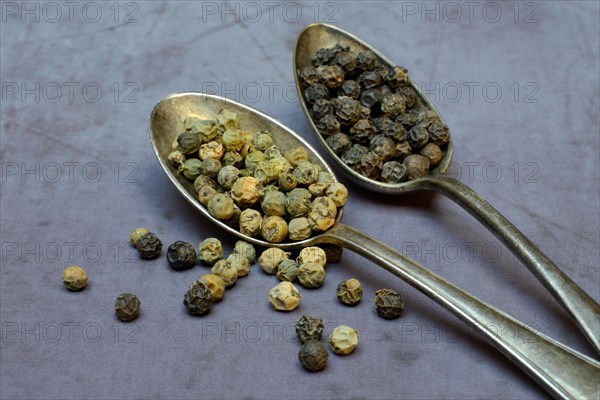 Peppercorns in spoon