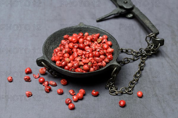 Red pepper in weighing pan