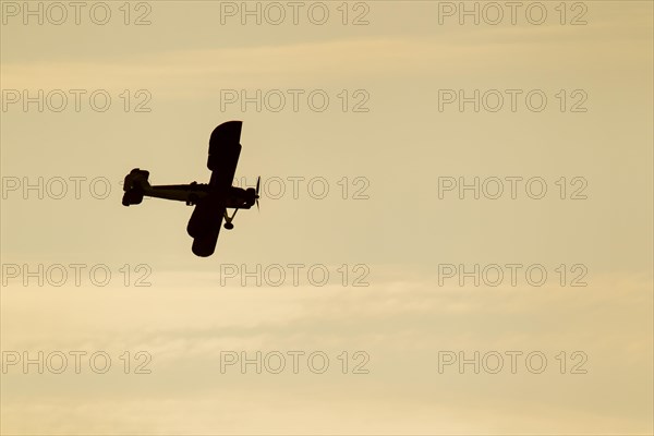 Fairey Swordfish aircraft in flight at sunset in Royal Navy markings