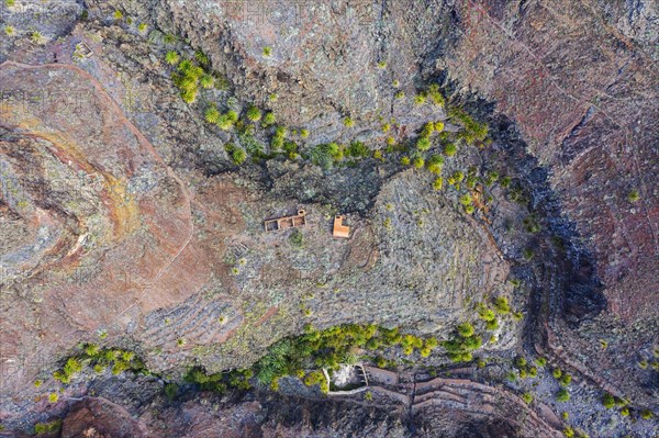 Palm trees and ruins in whimsically eroded gorge