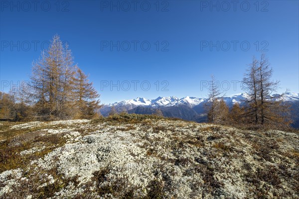 Autumnal mountain landscape