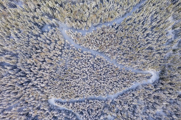 Hiking trail in winter forest from above