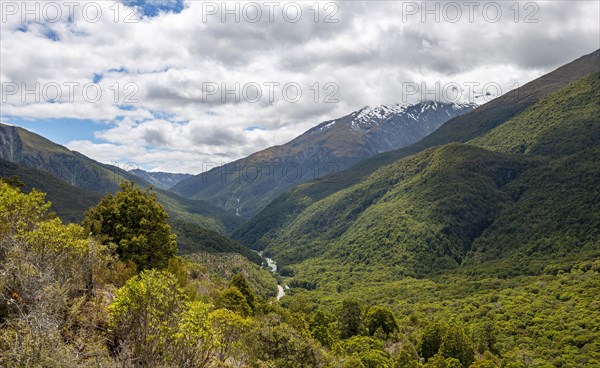 View of mountains and forest with Haast River