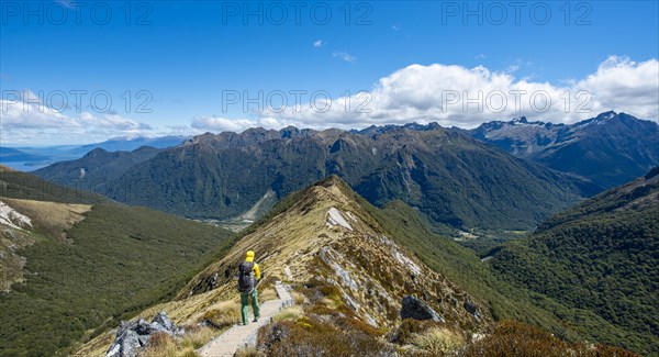 Hikers on hiking trail